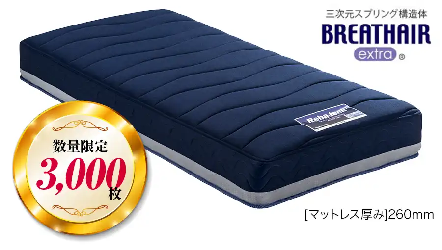 【フランスベッド】Reha tech ボディコンディショニングマットレス フランスベッド】Reha tech ボディコンディショニングマットレス