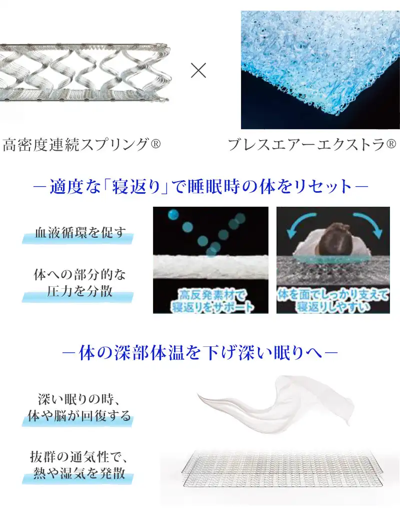 フランスベッド ボディコンディショニングマットレス - マットレス