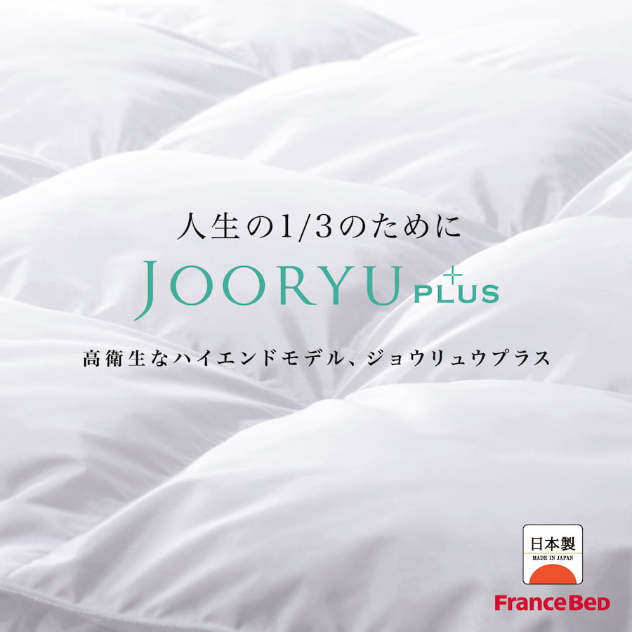 フランスベッド JOORYU+plus 羽毛布団 - 羽毛布団・寝装品