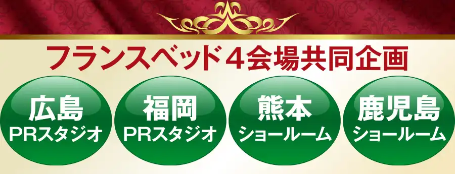 同時開催 電動リクライニングフェア 特別価格