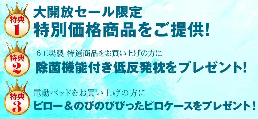 フランスベッド 6工場展示場スペシャル大開放セール DM