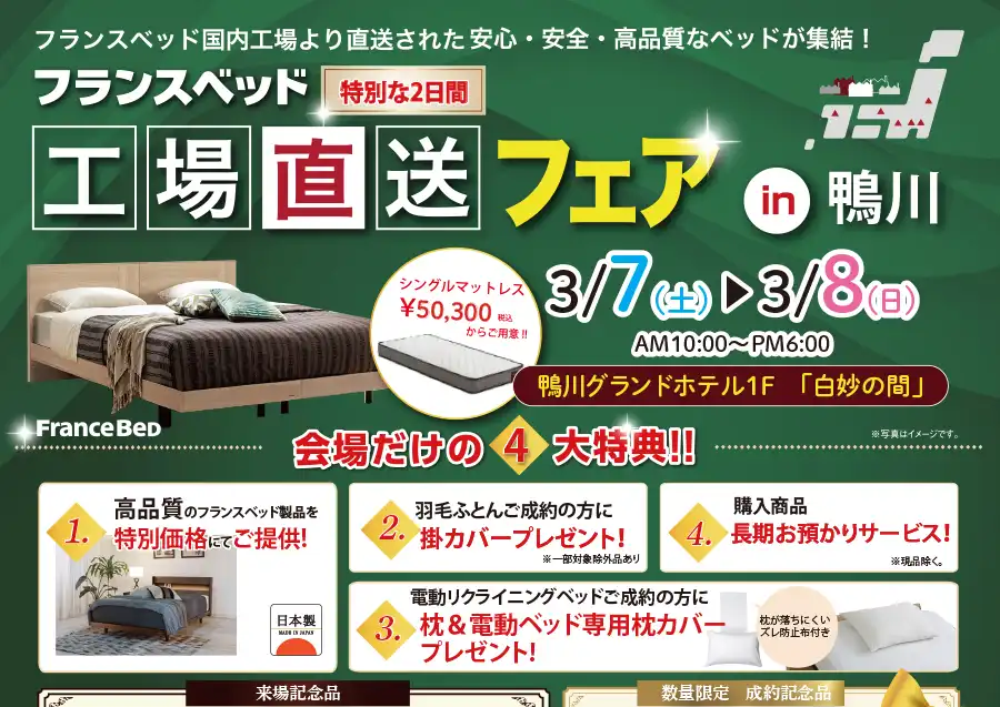 フランスベッド 鴨川グランドホテル DM 電動リクライニングベッド