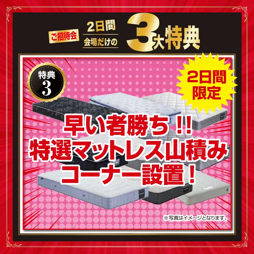 姫路市民プラザ フランスベッド セール DM