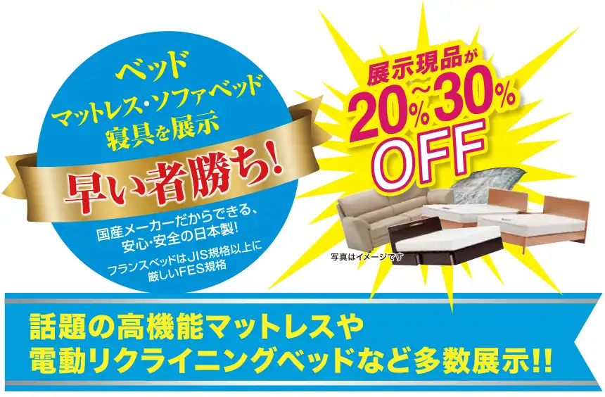 フランスベッド 日立シビックセンター セール DM