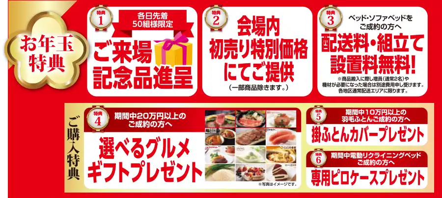 フランスベッド　静岡工場ショールーム　大総力祭　セール　DM