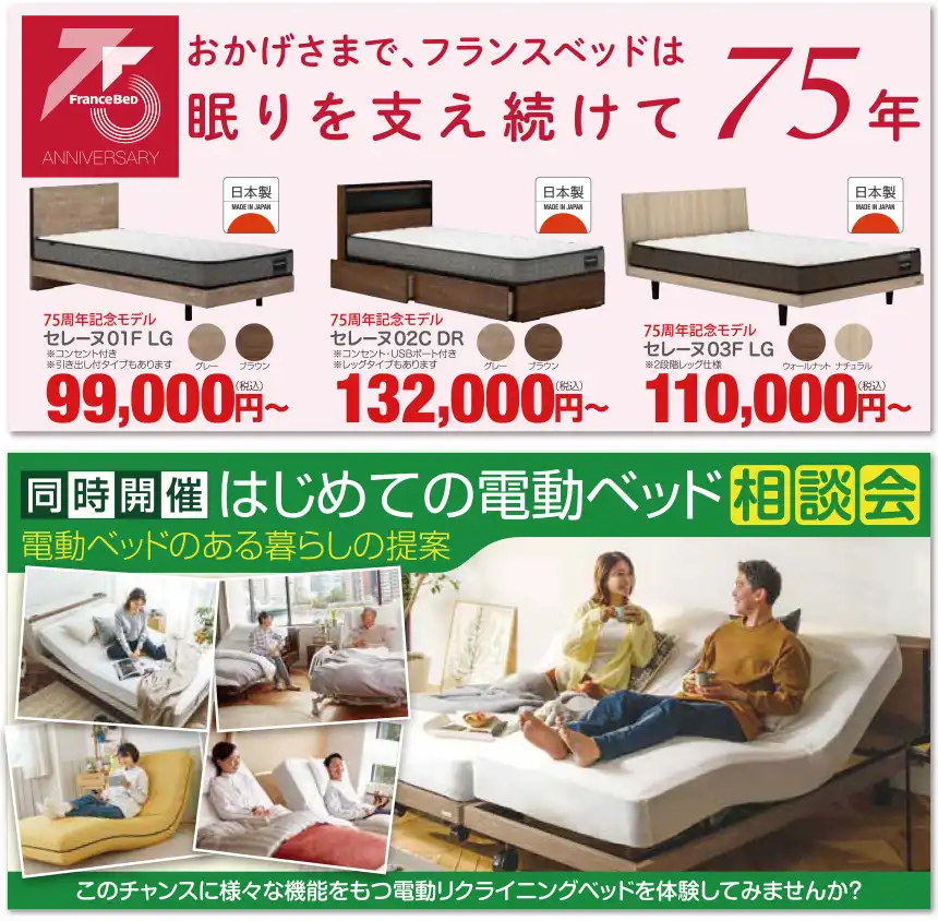 フランスベッド アミューあつぎ セール DM