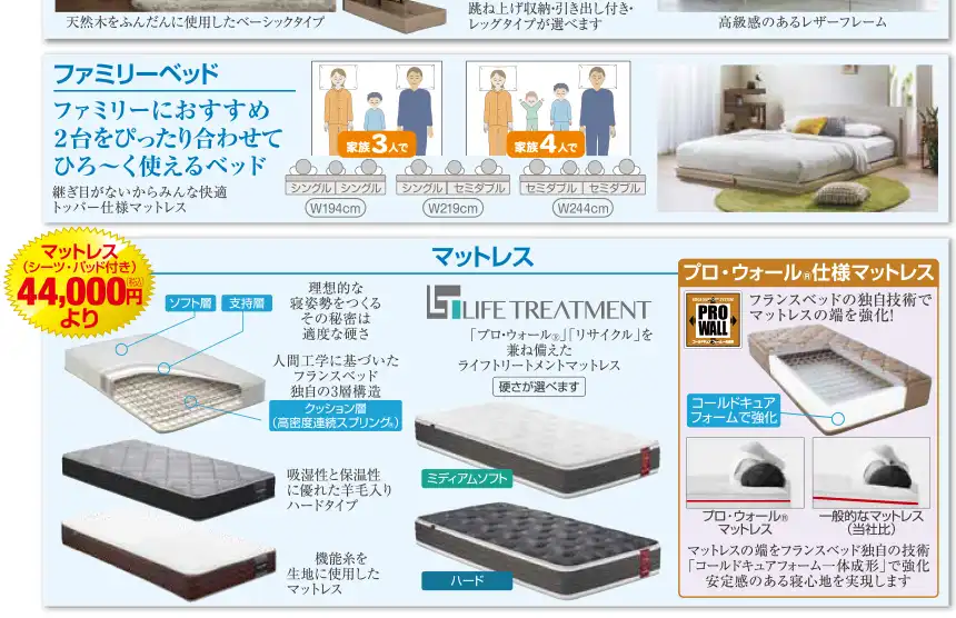フランスベッド アミューあつぎ セール DM