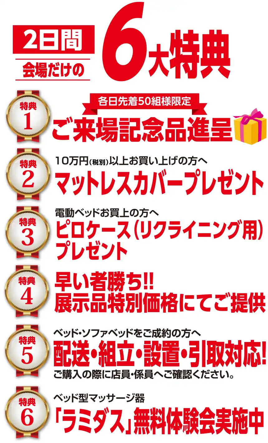 フランスベッド 熊本流通情報会館 DM 特典