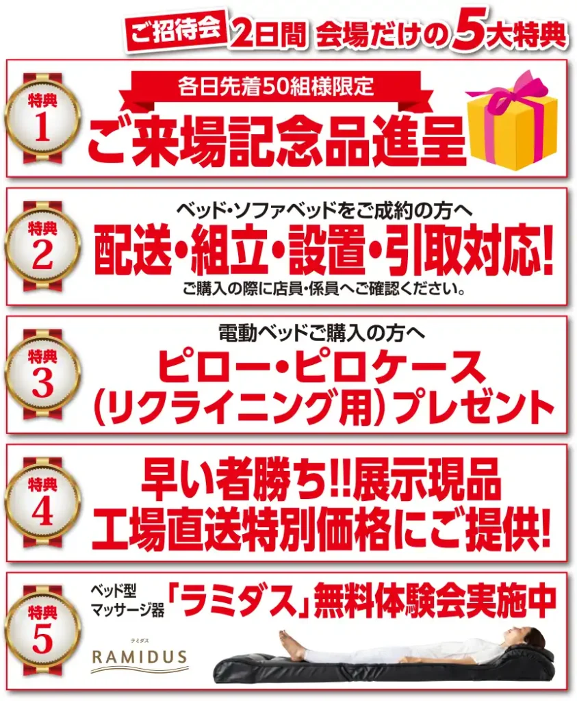 フランスベッド 桜十字やつしろ セール DM