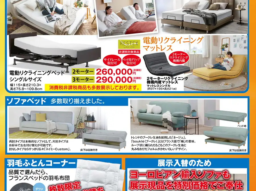 フランスベッド 三重 DM マッサージ器ラミダス