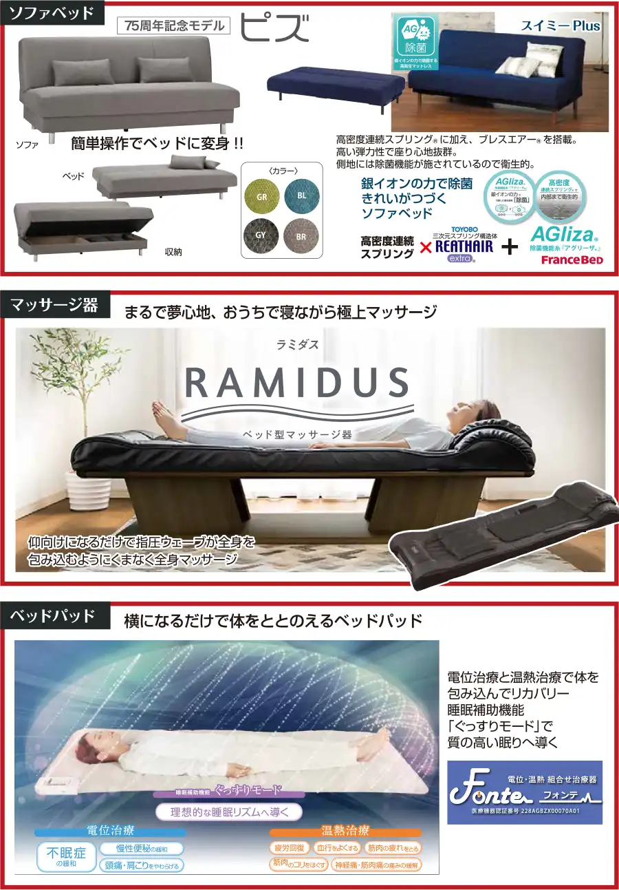 フランスベッド 箕面倉庫 DM 電動ベッド