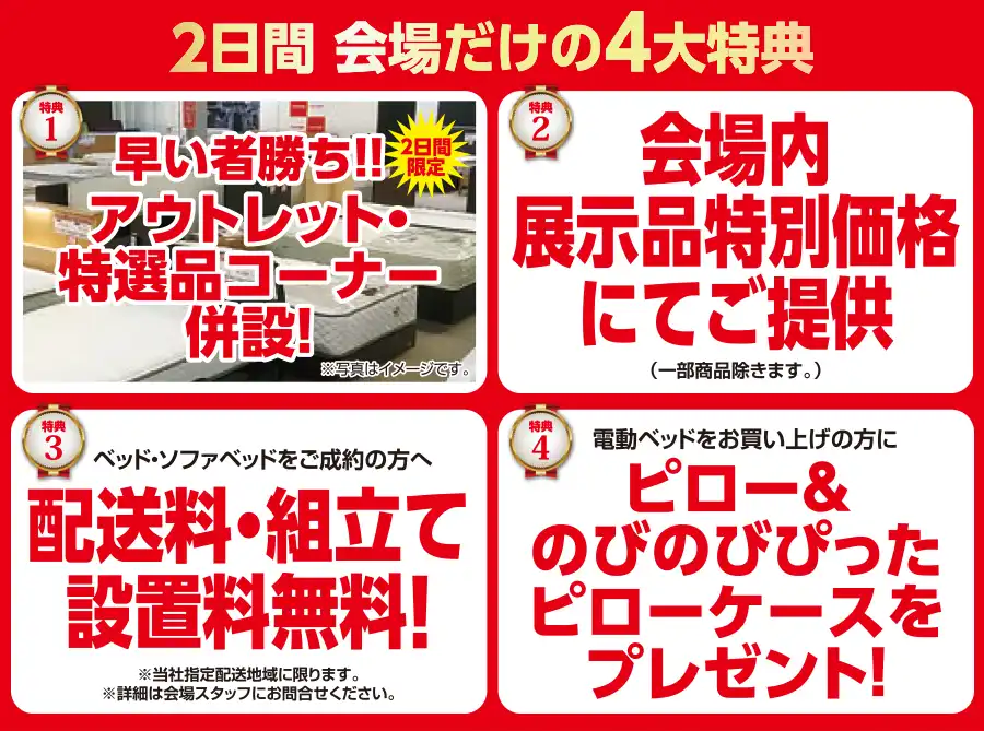 フランスベッド　ツインメッセ静岡　セール　DM