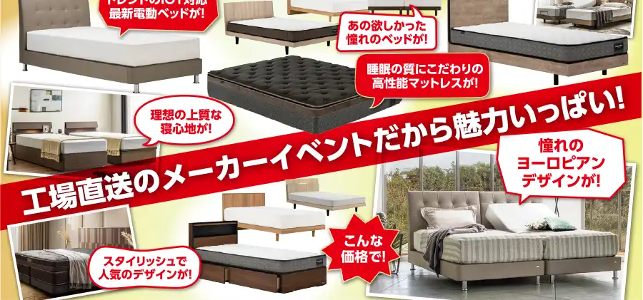フランスベッド　ツインメッセ静岡　セール　DM