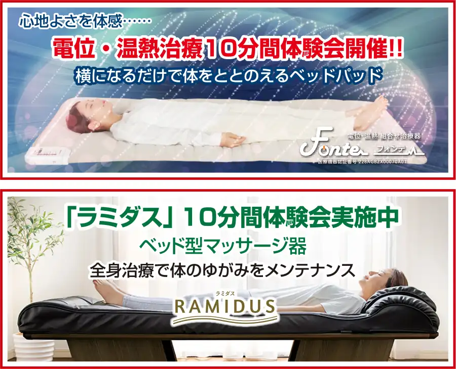 フランスベッド　調布　セール　DM