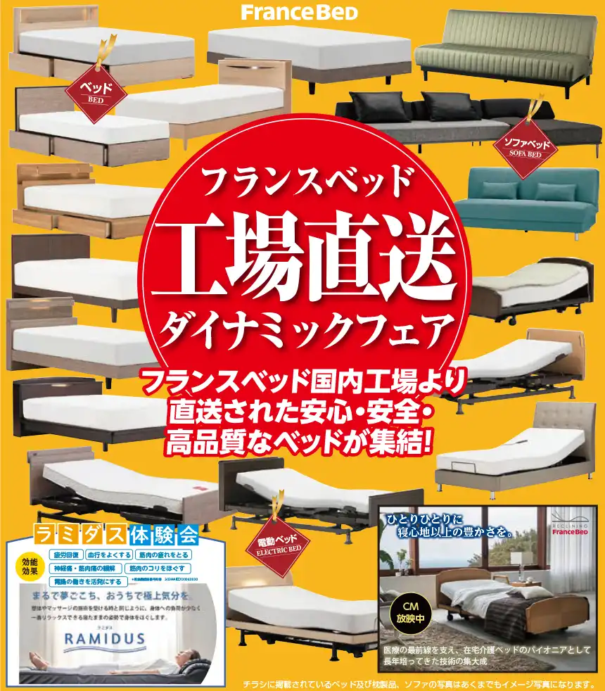 フランスベッド 山形ビックウィング DM