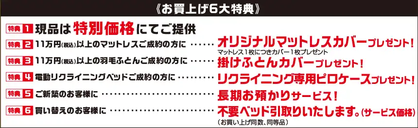 フランスベッド 山形ビックウィング DM 特典