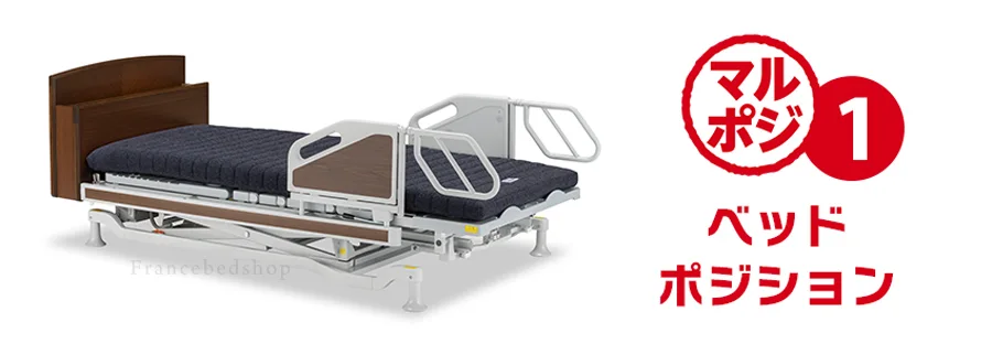 フランスベッド　マルチポジションベッド　電動リクライニング　離床支援　立ち上がり支援　座位が安定するベッド　座れるベッド　ベッドポジション