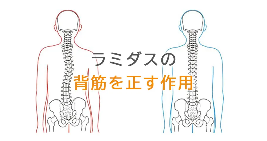 フランスベッド　ラミダスの背筋を正す作用　ベッド型マッサージ機