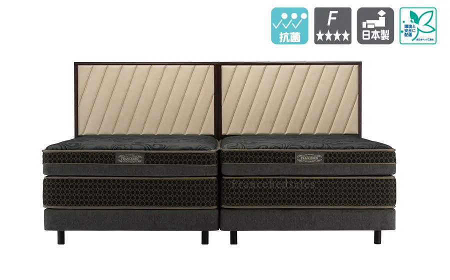 THE FRANCEBED　TFB-222 ベッドフレーム　フランスベッド　高級　スプリングボトム　ホテルベッド　本革