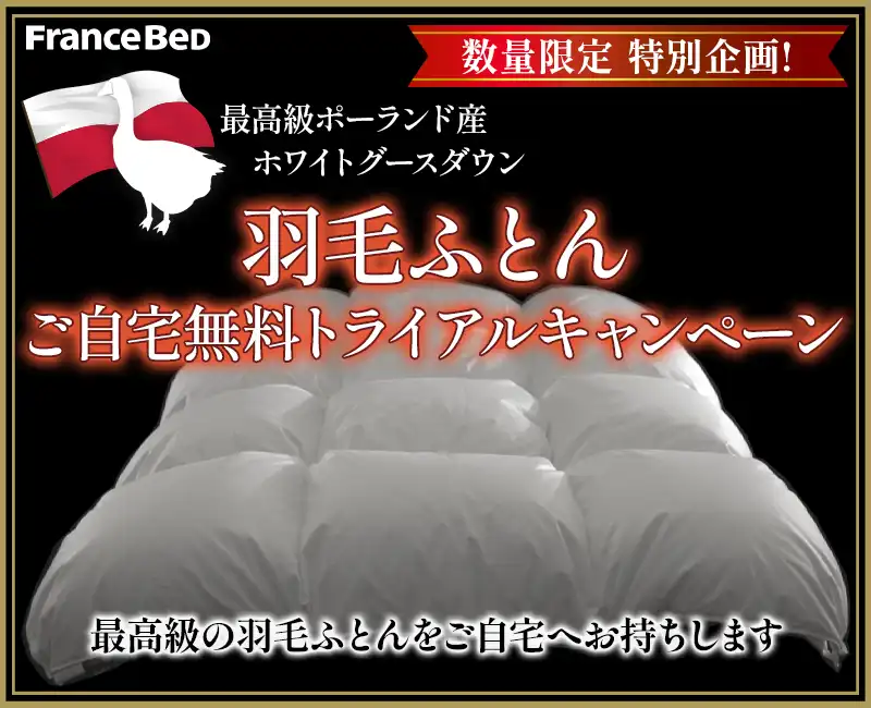 フランスベッド羽毛布団ご自宅体験キャンペーン